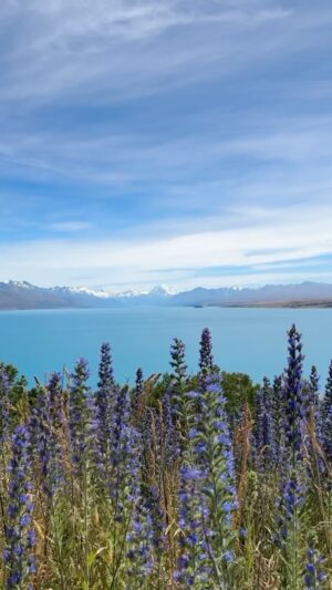 En Mei Instagram - Re-upload with the sounds ✨
Goodbye New Zealand! I didn’t know how much I needed your beautiful scenery and slower paced lifestyle. Core memories were built doing the simplest things like chasing after sheep, cutting green onions and basil from the garden, and playing card games late into the night. It was especially nice getting to know my future sister-in-law on a deeper level ❤️ and getting to run into/ hang out with friends who happen to be in NZ too? Icing on the top! 
Can’t wait to go back, but for now I’m recharged and ready for the Taipei hustle 🫶🏻