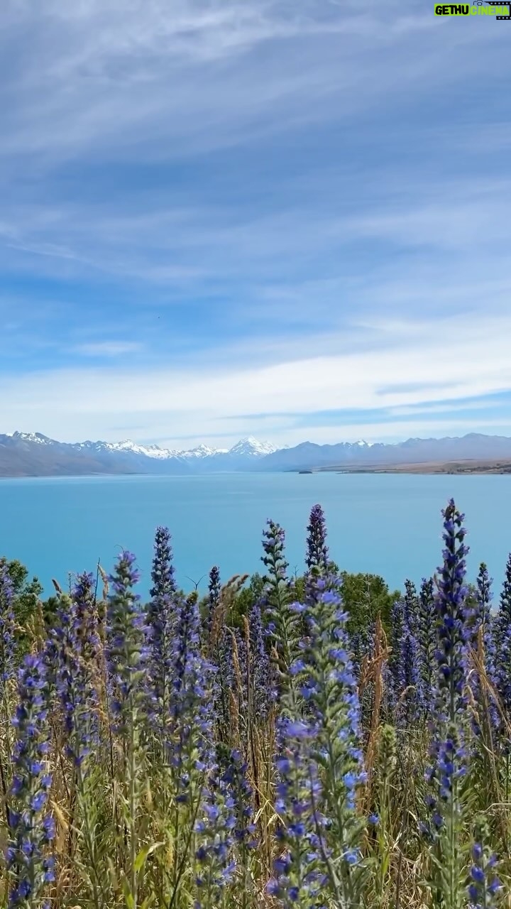 En Mei - 3 Likes - Re-upload with the sounds ✨
Goodbye New Zealand! I didn’t know how much I needed your beautiful scenery and slower paced lifestyle. Core memories were built doing the simplest things like chasing after sheep, cutting green onions and basil from the garden, and playing card games late into the night. It was especially nice getting to know my future sister-in-law on a deeper level ❤️ and getting to run into/ hang out with friends who happen to be in NZ too? Icing on the top!
Can’t wait to go back, but for now I’m recharged and ready for the Taipei hustle 🫶🏻