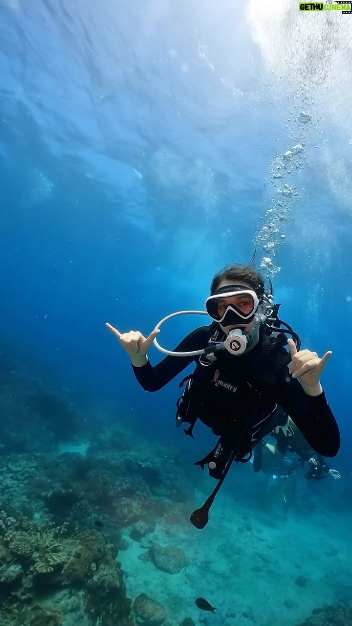 En Mei - 374 Likes - 第一次在綠島體驗潛水!✨🌊🏝️ 🤿 言語無法形容這個體驗,能和心愛的人在美美的海洋中和各種生物一起暢遊 🐠🐟🐋🐡🐢 大大感謝 @deerman167 🙏他真的是個超級好的教練!他超有耐心教我怎麼放鬆耳壓,整個過程就像在冥想一樣,要放鬆並且進入那種心流的狀態。還要特別感謝 @miss.annaliu 和 @florazhen ,他們力推 @airplane_mode_hostel ,這種一對一教學我大推!我全程都感到超級安心,而且他們也一直給我超大的鼓勵。
P.S. 這些影片是不是拍的不錯?教練拍的 😍
-
AHHHH~ 😍😍😍😍 I got to scuba dive in Green Island!! 🏝️ Words cannot describe how magical the experience was, getting to swim among the beautiful sea creatures with loved ones. 🐠🤿 Thank you, @deerman167. You are such a good coach. He patiently taught me how to release pressure from my ears and stay relaxed. I felt like the whole experience was so meditative. ✨ I want to get my license now so I can scuba-dive alone. Thank you, @miss.annaliu and @florazhen , for recommending @airplane_mode_hostel. They are so good at 1:1 coaching. We all felt so safe and encouraged. And aren’t these videos great? I will treasure these memories forever.