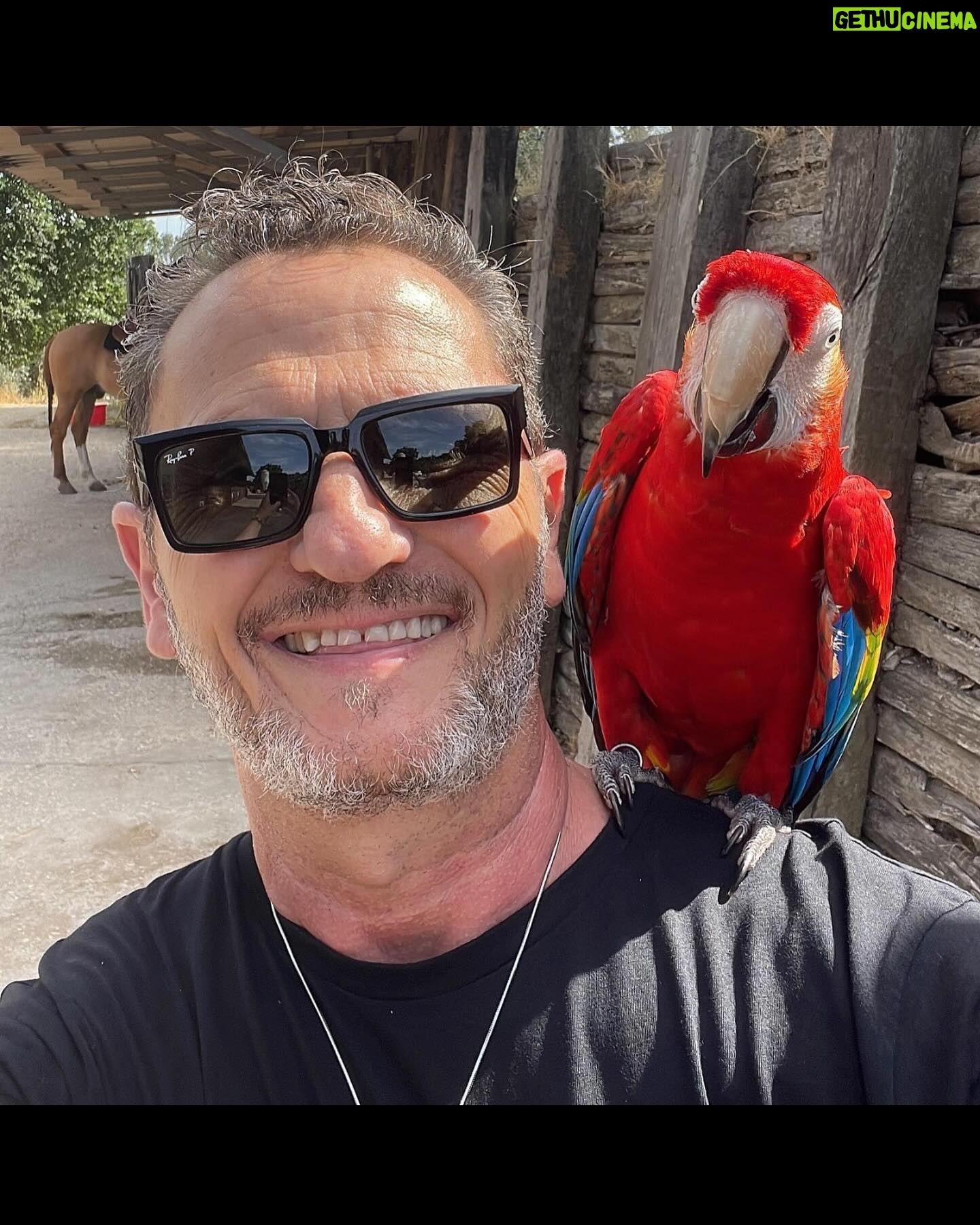 Enzo Salvi - 2.2K Likes - Amare e rispettare gli animali e comprendere la profonda connessione che li lega tutti, uomo compreso, vuol dire essere davvero in armonia con l’universo. Raggiungere questa consapevolezza, però, comporta anche una responsabilità: le persone che sono molto attaccate agli animali, infatti, sentono il dovere di difenderli e di proteggerli ed è anche per questo che si impegnano contro chi, invece, li sfrutta o, peggio ancora, li maltratta. Bonnie My Love❤️