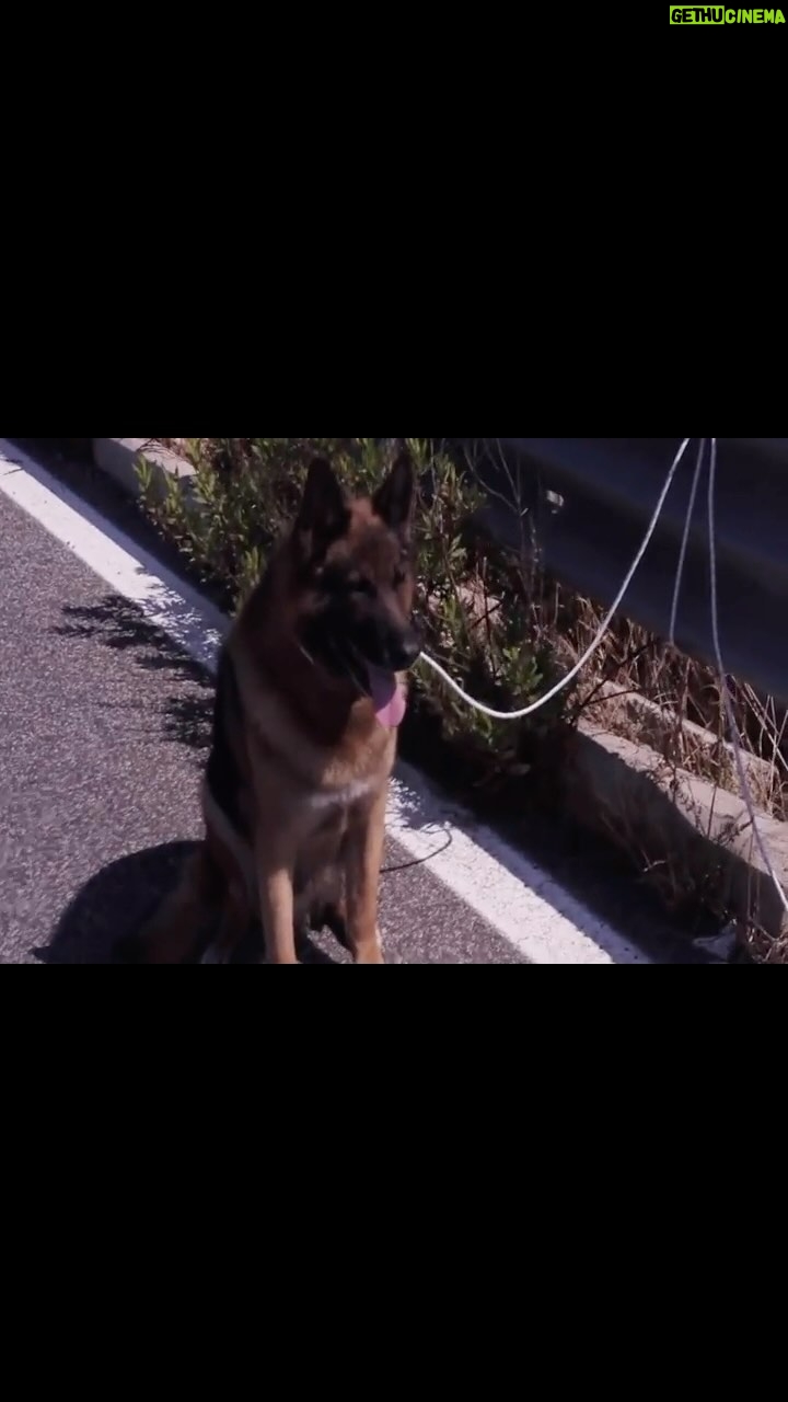Enzo Salvi - 14.7K Likes - SE LA PENSATE COME ME CONDIVIDETE
❤️PROTEGGERE E’ LA PIU BELLA VOCE DEL VERBO AMARE 💪❤️💪 #iononabbandono #loveislove #cane #amoicani