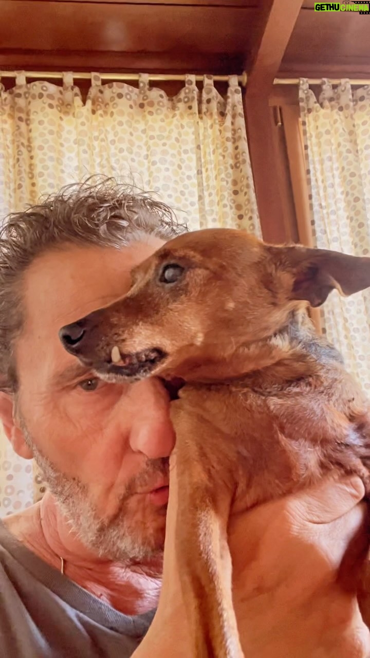 Enzo Salvi - 7.8K Likes - “Il cane è un eterno Peter Pan, non invecchia mai, perciò è sempre disponibile ad amare ed essere amato” TYSON 10 ANNI ❤️