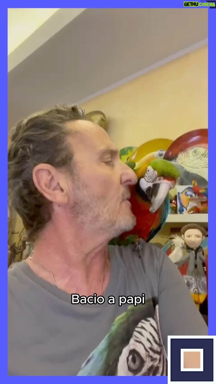 Enzo Salvi - 2.7K Likes - Ciao amici amanti degli animali! 🦜
Sabato #29giugno alle 10:00 ascolteremo la storia di @enzo_salvi e del suo magnifico rapporto con gli animali insieme a @rinaudo_federica e Alessandra Rauti
🐝 Parleremo di #api con @lunertiandrea e dell’influenza del caldo torrido sugli animali con Carla Bernasconi @fnovi_vet
🐶🐈 #IoStoConGliAnimali su #Radio1 e @raiplaysound
