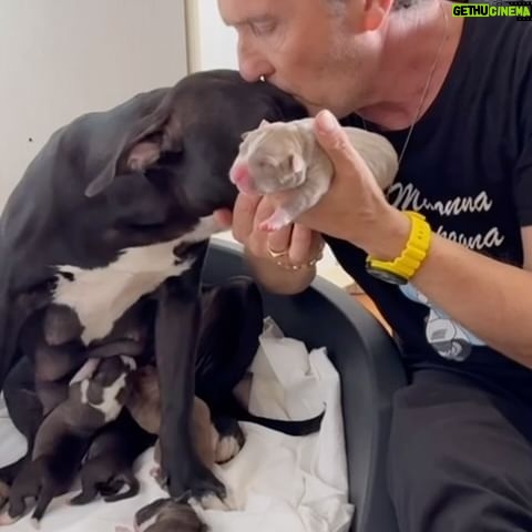 Enzo Salvi - 59.9K Likes - PROTEGGERE E’ LA PIU BELLA VOCE DEL VERBO AMARE ❤️