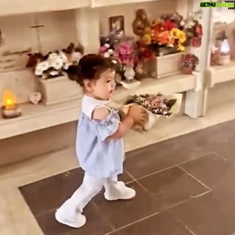 Enzo Salvi - 2.2K Likes - “Vi presento Aurora , una dolcissima bambina di un anno e mezzo cresciuta con dei valori umani dettati dal cuore. Dopo tre giorni dalla sua nascita la prima cosa importante per me era che conoscesse la grande donna che era mia nonna, la sua bisnonna, pur sapendo che non avrebbe mai ricordato quell attimo , essendo malata di alzheimer , ma un gesto che le racconto ogni giorno per mantenere vivo il suo ricordo in lei come in noi. Dopo esattamente un mese dalla sua nascita è venuta a mancare, ma noi, come la zia , non abbiamo mai smesso nemmeno un secondo di raccontare la splendida donna che era per tutti noi e il ruolo fondamentale che occupava nei nostri cuori. Ad oggi sono qui fiera della bambina che sto crescendo e commossa dall amore che prova per lei donandole i fiori come ha fatto la zia il giorno del suo matrimonio . “ un bacio la mamma di Aurora 😍.( Veronica la sorella di mia Nuora Federica ) I VALORI CHE SI TRAMANDANO ❤️