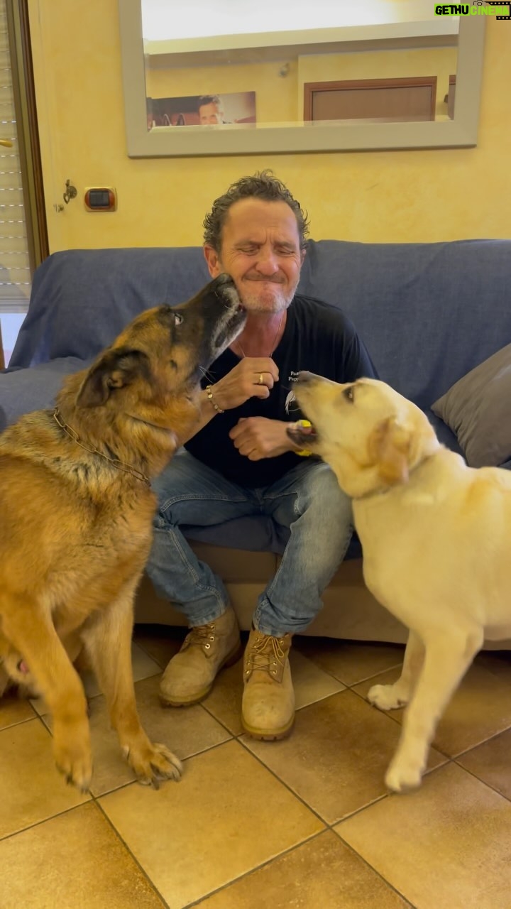 Enzo Salvi - 34.1K Likes - Poi torni a casa dopo una settimana e i tuoi figli ti riempiono di baci ❤️❤️ ( Quelli pelosi .. I miei neanche se ne sono accorti che sono tornato….)