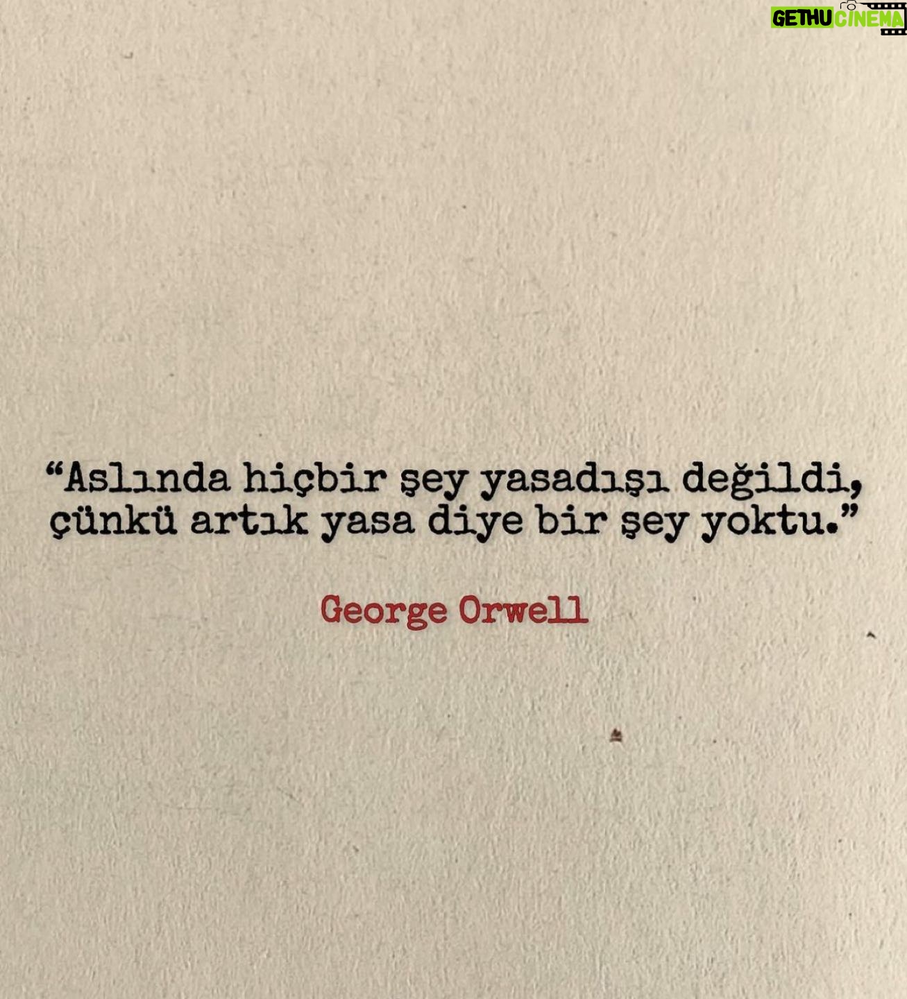 Erdal Beşikçioğlu - 22.6K Likes -