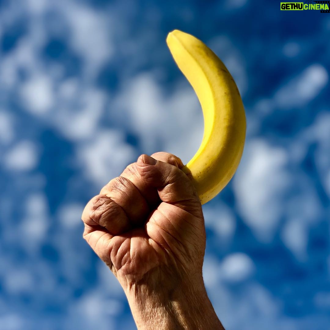 Eric Burdon - 1K Likes - What the banana! ...I don't know, I just love the contrast of color on this beautiful cloudy #ojai sky. ...behind @rayban
🍌
🍌
🍌
🍌
🍌
🍌
#primarycolors
#clouds
#velvetunderground
#andywarhol
#rayban
#iphonex 📷@marianna_burdon