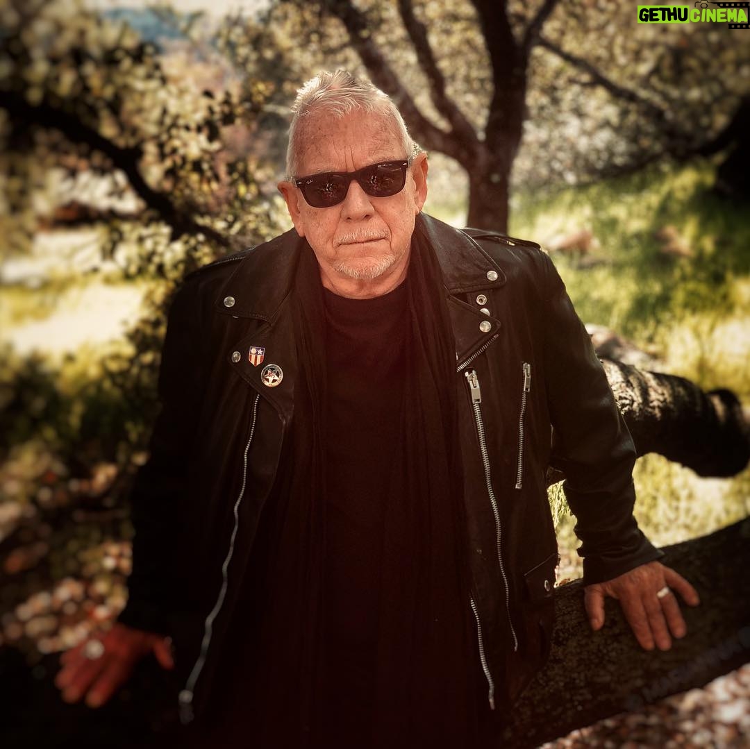 Eric Burdon - 761 Likes - Today’s walk... looks like the #treeoflife
•
•
•
•
•
#terrencemalick
#americanfilm
#dailywalk
#dailyinspiration
#ojai
#california
@criterioncollection
#seanpenn
#bradpitt
#jessicachastain
#tree
📷credit @marianna_burdon #iphonex