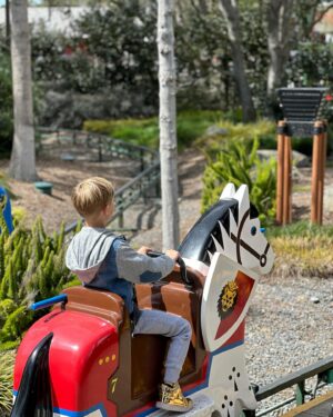 Eric Winter Instagram - Big thank you to @legolandcalifornia for hosting us yesterday! The kids had the best time and we will definitely be back for their newest land opening this spring… DINO VALLEY! #legoland #dinovalley #legos
