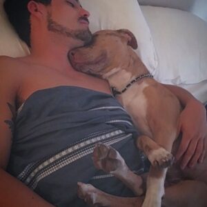 Erik Díaz Instagram - R.E.L.A.X con #vato
#pitbulllove #weekend #zen #dog #doglife🐾 #actorslife #apbt #adoption #friends