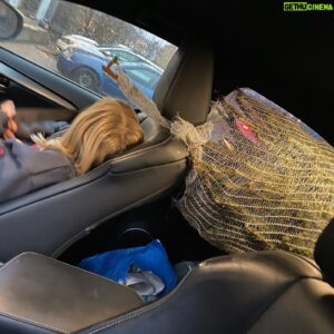 Erik Johansson Instagram - Inte säker på att det var för granens bästa, det där lilla sista TRYCKET från mig från bakluckan för att den skulle kunna få plats. Det sista lilla TRYCKET som gjorde att min dotter i sista sekund fick dodga spetsen med sitt huvud som Indiana Jones. Det sista lilla TRYCKET som också resulterade i ett oroväckande knak. Ett knak som mycket väl kan innebära att det är Stockholms fulaste julgran som är på gång att bli klädd ikväll. Har inte vågat klippa upp nätet runt granen än. GOD JUL