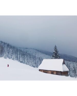 Erika Kaar Instagram - 🌨🤘🏼