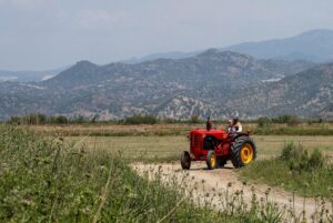Erkan Can Instagram - 