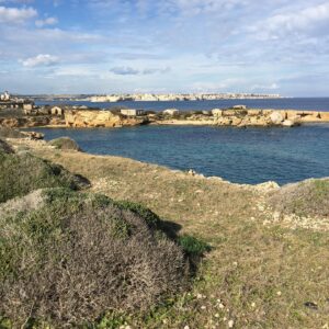 Erlend Øye Instagram - Today on the entry to the area Pillirina there was this man telling me i couldnt enter. That the owners of the land has after 13 years won all the cases they needed to win in italian courts and that now this land and the neighbouring seaside is off limits to the public. And that yesterday the police came to give fines to the people who were there. And this would happen to us if we went there. This area has been of public use for at least 50 years. When i came to Siracusa for the first time in 2008, on the second day i was taken here. And it was the mix of the beauty of the historical center, with the wild and free seaside area of Pillirina so near, that attracted me to Siracusa and that made me buy a house here and move here in 2012. From what I understand; a noble person, Marquis De Gresy, @manu_di_gresy is behind the investment company Elemata that now will make this area private and construct houses here where there now are ruins. What is his motivation to do this? Does he think he is doing a favour to Siracusa? Pillirina does not need any “requalification”. Its perfect as it is. Cliffs that year by year erodes into the sea. Houses that offer an idea of past settlements, and relics from the 2nd world war, that tells history in its subtle way. In the windy spring months, here we can find a windshaded beach and pretend its already summer. 
Mr Gresy, if you read this, please change your mind. I can sell my house in Bergen and maybe i can manage to pay for the costs you have had in all this time trying to procure the permits you needed. Will 1 million euro be enough? I know its little, but its all i have. Dont take Pillirina away from us. #pillirina #pillirinariservasubito