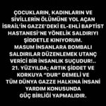 Erol Evgin