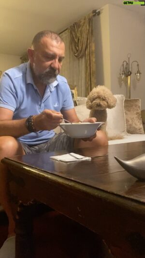 Ertuğrul Postoğlu Instagram - Tarçınım benim ya..Bakışları beni benden aldı.Salata yiyorum sadece… #toypoodle #animalovers