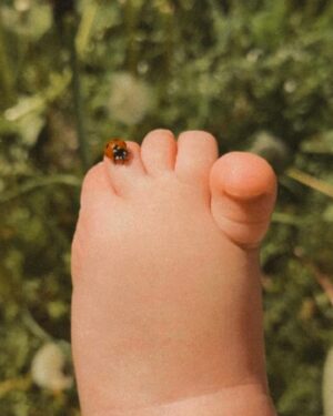Ester Pantano Instagram - Al potere delle cose presenti, alla presenza delle cose passate che ci hanno portato qui, alla ricchezza degli avvenimenti futuri, alle verità, anche se ci hanno sempre detto essere Una ed una sola, al riconoscersi e riconoscere cosa si merita, all'essere presenti a noi stessi e non condannarci se le cose non dipendono da noi,se altri dicono cosa è per noi, a non combattere a mani vuote offrendo sempre un argomento, al non arrendersi quando si hanno meravigliosi moti e irragionevoli ragioni che ci fanno desiderare di più,al sapersi dare il tempo, per essere felici e per guarire,al saper farla finita con il condannare il passato
e fare tutto quello che amiamo nel presente.
Quello che pensiamo ci sia stato negato, ora possiamo farlo nel presente, al sapersi godere il viaggio, al pellegrinaggio, mio prossimo viaggio, all'esplorazione del mondo che amo, 
a te che sarai sempre qui,al sapere riconoscere i meccanismi
che fanno confondere l'Altro con l'Amore, all'impegno quotidiano, al saper rinunciare alle soddisfazioni immediate
per non rinunciare alla costruzione dei sogni che necessitano di tempo e cura, all'essere in ascolto e comprendere 
che a volte è solo ostinazione e non ha nulla a che fare con la nostra essenza.Al capire come partecipare in questo mondo, 
condividere la propria verità, difendere chi non ha voce 
senza farsi schiacciare dalla bruttura del mondo 
cercando di trovare il modo di non spegnersi e farsi spegnere, a tutte le cause che non ci riguardano  direttamente ma che in realtà riguardano tutti, al senso della comunità,della comunione,della reciprocità, del nido, alla sicurezza, alla tanto sottovalutata Serenità, al riposo,
che ci concede la lucidità,al sapersi destreggiare nelle emotività che la vita ci porta a prescindere dal volere, al non condannarsi se le cose finiscono e si continua ad amare,
al sapere scegliere specchi d'anima, non di vetro e argento,
al circondarsi di anime libere che non conoscono il ricatto emotivo, a sapere scegliere e fare di tutto per mantenere questa immensa Libertà,questoimmenso lavoro che è essere Liberi e amare liberamente,senza contratti,come i fiumi, 
che nel destino sfoceranno sempre nello stesso mare
Ester🌕