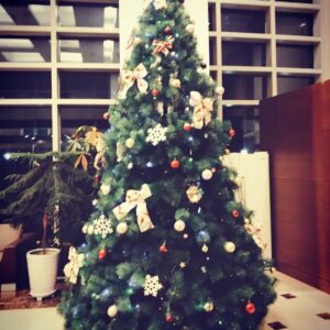 Eun Ji-won Instagram - 크리스마스 잘 보내셨나요? 🤗 저역시 가족들과함께👍🏽😊🎉 끝까지 좋은밤 보내세요 #merryxmas🎄