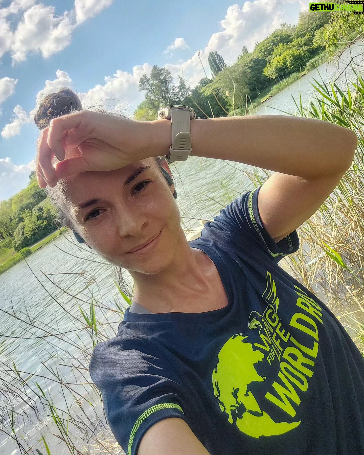 Éva Bátyai - 3 Likes - Komolyan veszed és versenyzel? Hajrá!! 🏃♀️Nincs terved, csak ki próbalod mennyi fér bele, mennyit bírsz? Futáás!🏃➡️ Az aznapi edzésedet fogod lefutni? ✌️ Én pl. IGEN! Kocogsz és közben bandázol egy jót? Úgy is jó!!🏃♂️🏃♀️➡️🏃 @wflworldrun 💛💙
Egy a lényeg, május 5-én vasárnap 13.00 órakor fussunk együtt azokért, akik nem futhatnak!
A nevezési díj 100%-ban jótékony célra megy (gerincvelőt érintő betegséggel vagy sérüléssel együtt élők gyógyítására és a lehetséges gyógymódok kutatására). A futás különlegessége, hogy szerte a világon egyszerre, egy időben futunk, ez Magyarországon 13:00. Az applikációnak köszönhetően, a futás egyénileg is teljesíthető, bárki, bárhol részt vehet, akárhol is legyen. Nincs konkrét teljesítendő táv, mindenki annyit fut, amennyit szeretne, vagy amennyit bír.”
Az esemény különlegessége a mozgó célvonalként működő „Catcher Car” vagy „Követő kocsi”, amely 30 perccel a rajt után, 15 km/h sebességgel indul, majd folyamatosan növeli a sebességet, mindaddig, amíg az utolsó sportolókat is utol nem éri.
@wingsforlife @redbullhu
🏃🏃♂️🏃♀️➡️🏃➡️🏃♀️💛💙❤️
#együttműködés #wingsforlife #wingsforlifeworldrun #runningmotivation #running #futnimenő #futás #fussatok #fussatokmertfutnijó #bátyaiévi
#batyaiéva