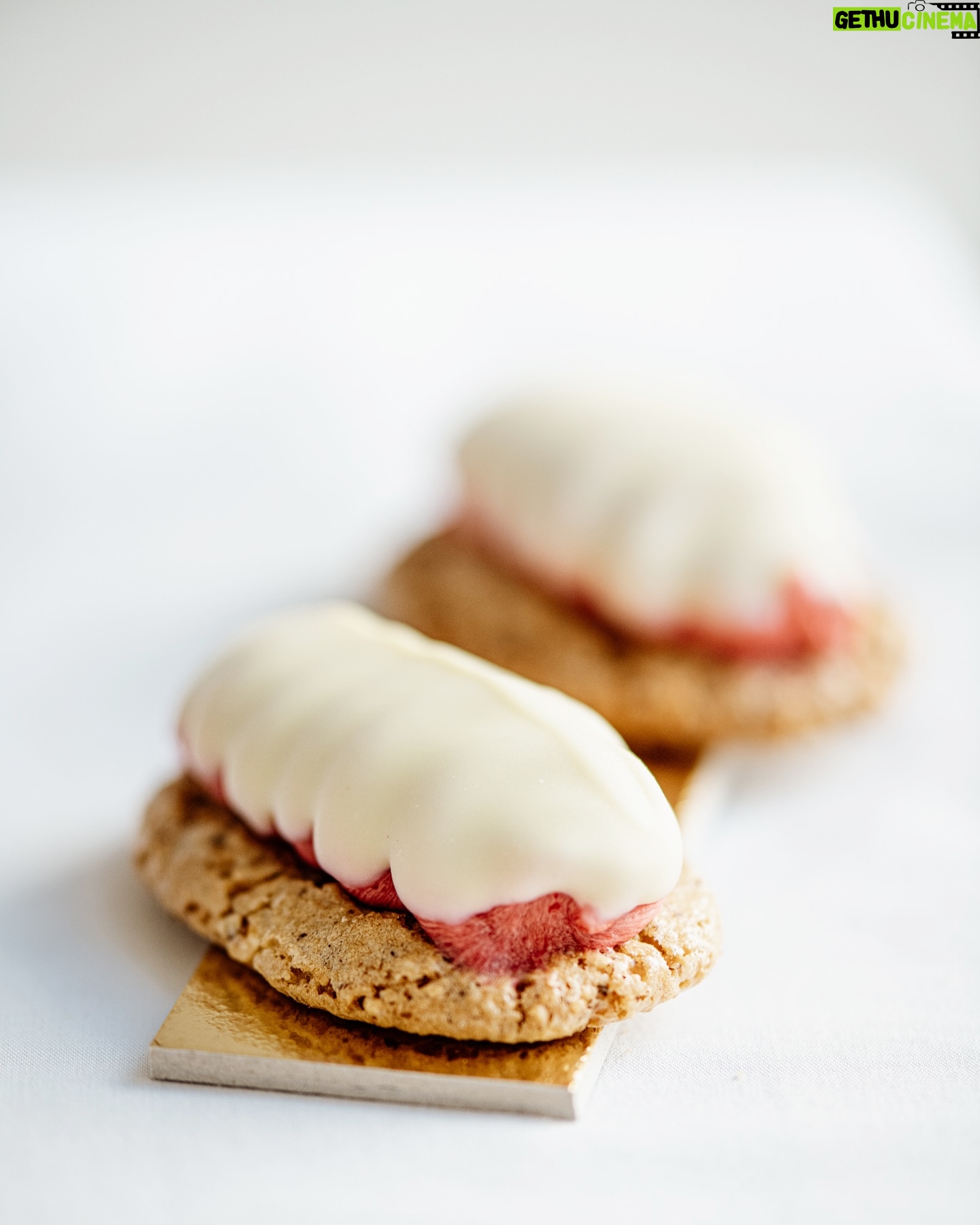 Eva Tomečková - 48 Likes - Upřímně? Ovocná tyčinka je jeden z mých nejoblíbenějších zákusků 😋🧁 Jedná se o oříškovo-bílkový korpus s ovocnou dření a pudinkem a to celé zalité čokoládou 🍫 proste mňam!
Jaký je váš nejoblíbenější zákusek?
Dáme si recept na nějakou sladkou dobrotu?🌸😋 napište mi do komentářů, jaky recept by vás zajímal a můžem si pak společně něco upéct 🤔👩🏻🍳
Užijte si den🌸🫶🏻
#food #cake #sweet #sugar #sugarcookies #evicenstvo #trinec #ostrava #praha #taste #zakusek #dezert #desert #sladke #fruit #ovoce #cukrarka #peceni