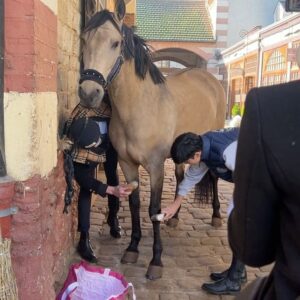 Ève Gilles Instagram - Parenthèse « bien-être »🐴

Merci @societedequitationdeparis pour ce moment privilégié❤️