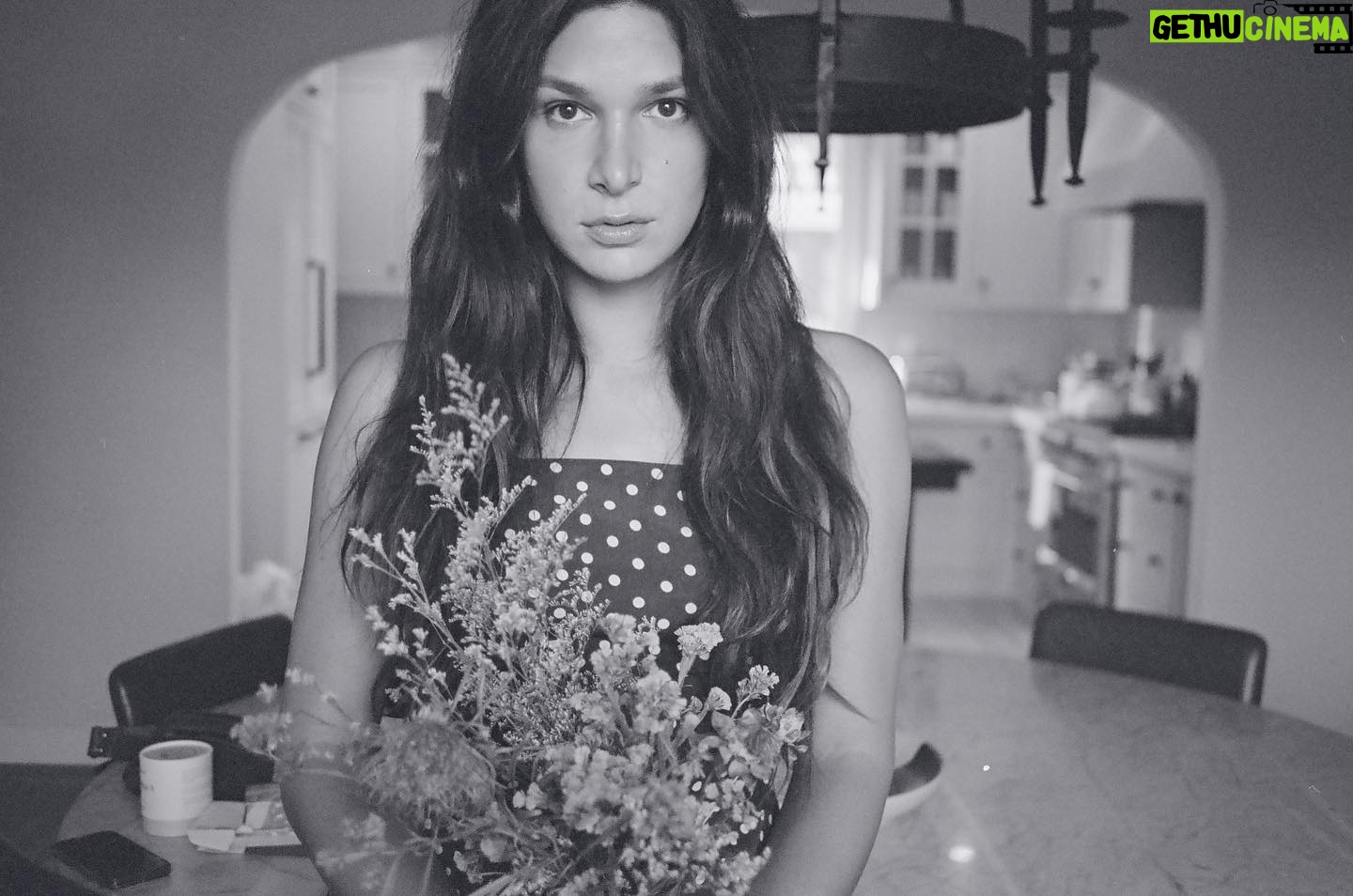 Eve Lindley - 1.2K Likes - When you miss all of NY press because you test positive for Covid but then 10 days later you’re neggy so you smile while holding some flowers!! 📷: by my love @noahegalvin probably on film or whatever