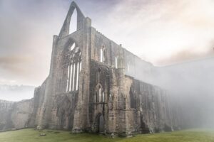 Evelyn Edwards Instagram - Don’t get me wrong. I LOVE castles.  But Abbey ruins hit me right in the gut. My sense of wonder is ignited. The architecture mesmerizes me to the core. .
.
.
.
.
.
#cymru #wales #visitwales #discovercymru #discoverwales #southwales #abbey #churcharchitecture