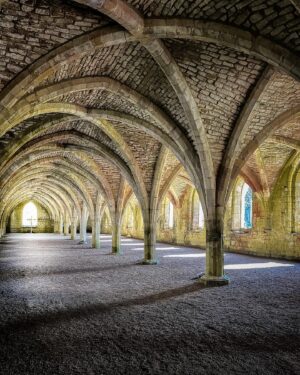 Evelyn Edwards Instagram - Fountains Abbey is now officially my favorite ruin in the planet earth. So if anybody asks ... this is it. After the Dissolution of Monasteries by Henry VIII, Fountains Abbey was sold to  Sir Richard Gresham. Richard Gresham, interestingly enough, furnished Cardinal Wolsey with all his tapestries at Hampton Court Palace. And after Wolsey died, it was Grisham who paid for the cardinal’s funeral. And it was also Grisham who started to dismantle the Abbey, selling off portions of it. 
.⁣
.⁣
.⁣
.⁣
.⁣
#yourbritain #scenicbritain #england #ruins #abbey #photosofbritain #capturingbritain #gothicarchitecture #cathedral #churcharchitecture #historylovers #historicbuildings #medievalarchitecture #middleages #churchesofinstagram #historicchurch #medievalworld #architecturephotography #historicarchitecture #yorkshire #gothic #architectureporn #religiousarchitecture #churchesoftheworld #oldchurch #history #historicbuildings #historybuff
