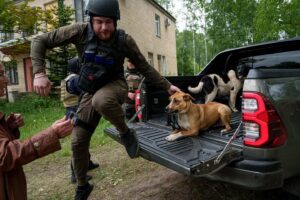 Evgeniy Maloletka Instagram - VOVCHANSK, Ukraine

Ukrainian officials haven’t officially confirmed whether Russian had taken the villages, which lie in a contested “gray zone” on the border of Ukraine’s Kharkiv region and Russia.

The renewed assault on the region has forced more than 1,700 civilians residing in settlements near the fighting to flee, according to Ukrainian authorities. It comes after Russia stepped up attacks in March targeting energy infrastructure and settlements, which analysts predicted were a concerted effort by Moscow to shape conditions for an offensive.

Today us accompanied an evacuation team described empty streets with multiple buildings destroyed and others on fire. The road was littered with newly made craters and the city was covered in dust and shrapnel with the smell of gunpowder heavy in the air. Mushroom clouds of smoke rose across the skyline as Russian jets conducted multiple airstrikes.

“In the current moment, the situation in Vovchansk and the settlements along the border (with Russia) is incredibly difficult. Constant aviation strikes are carried out, multiple rocket missile systems strikes, artillery strikes,” said Tamaz Hambarashvili, the head of Vovchansk City Military Administration.
“For the second day in a row, we evacuate all the inhabitants of our community who are willing to evacuate.”
“I think that they are destroying the city to make (local) people leave, to make sure there are no militaries, nobody. To create a ‘gray zone,’” Hambarashvili said.

Evacuees bade tearful goodbyes to their neighbors as they were taken away from their homes.

“You lie down and think — whether they will kill you now, or in an hour, or in three,” said resident Valentyna Hrevnova, 75. “I hope that they (Russians) will not come, but ours (Ukrainians) will be here.”
Vera Rudko, 72, was among those who left.

“We drove through Vovchansk in the city center,” Rudko said. “I can’t look at this without tears. Everything is trembling. We didn’t sleep these two nights at all.”

#ukraine #russia #war #invasion