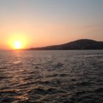 Evrim Solmaz