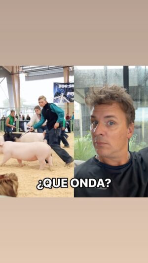 Ezequiel Campa Instagram - Tocineta