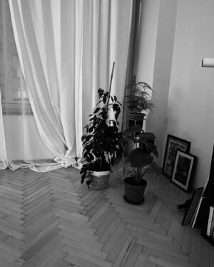 Ezgi Çelik Instagram - .
Dolunay Party , 
Beypazarı naptın , 
Topraklama , 
Kem göz savar Deve dikeni , 
Romans zannettik
Beşiktaş - Ankaragücü çıktı ,
İyiz .