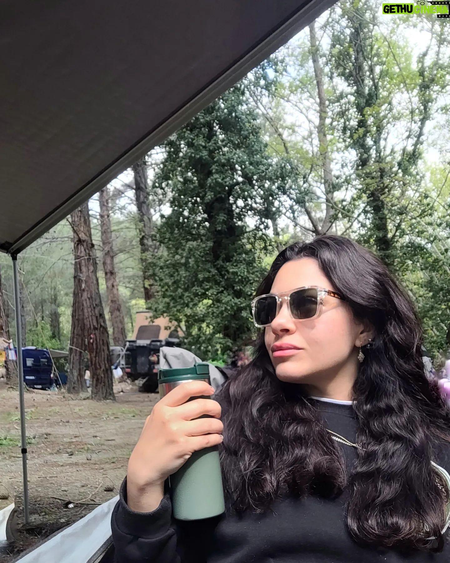 Ezgi Tombul - 513 Likes - 🏕️🌻🐛🌹