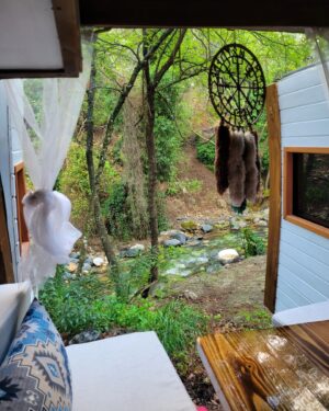 Ezgi Tombul Instagram - 🏕️🌻🐛🌹