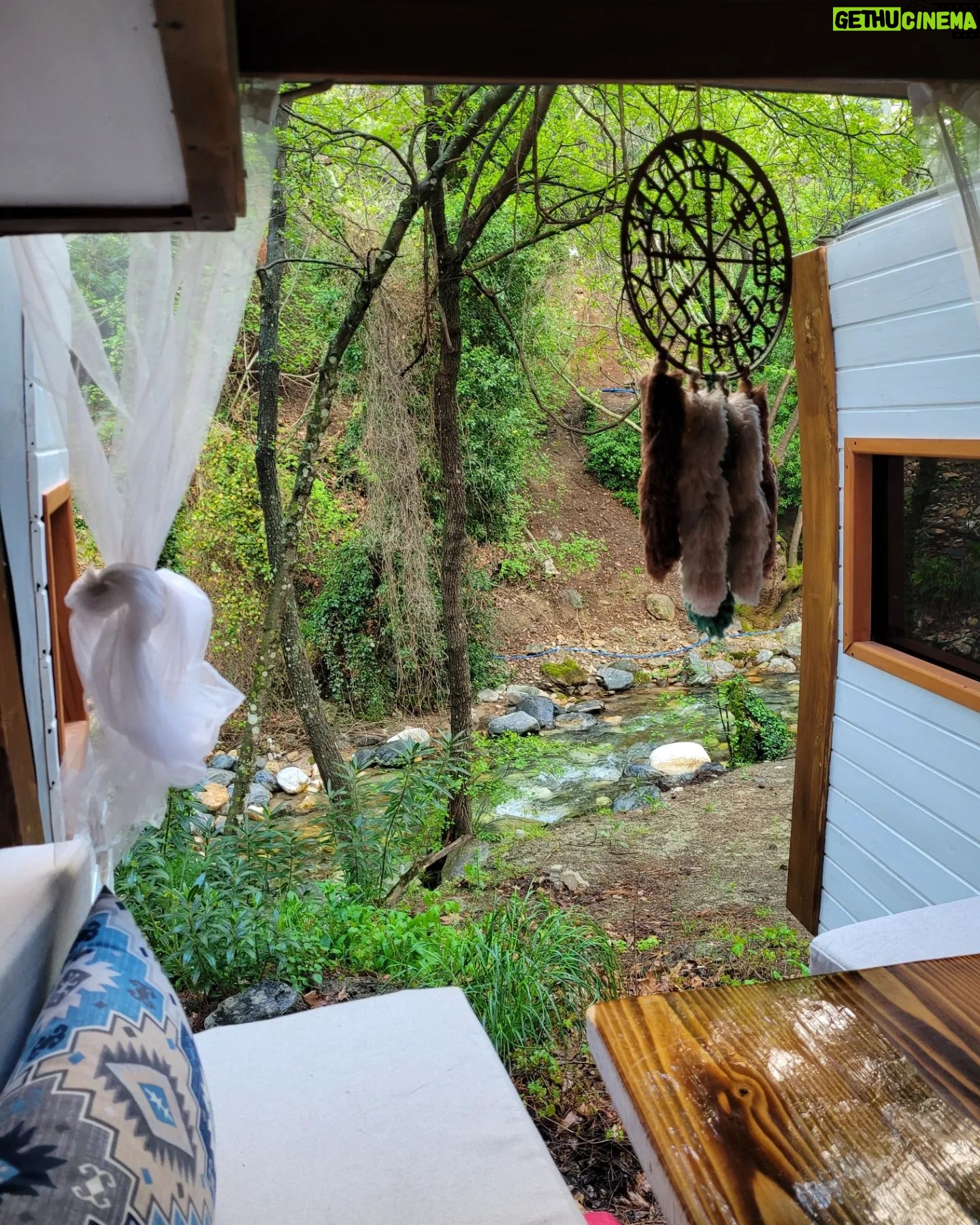Ezgi Tombul - 513 Likes - 🏕️🌻🐛🌹