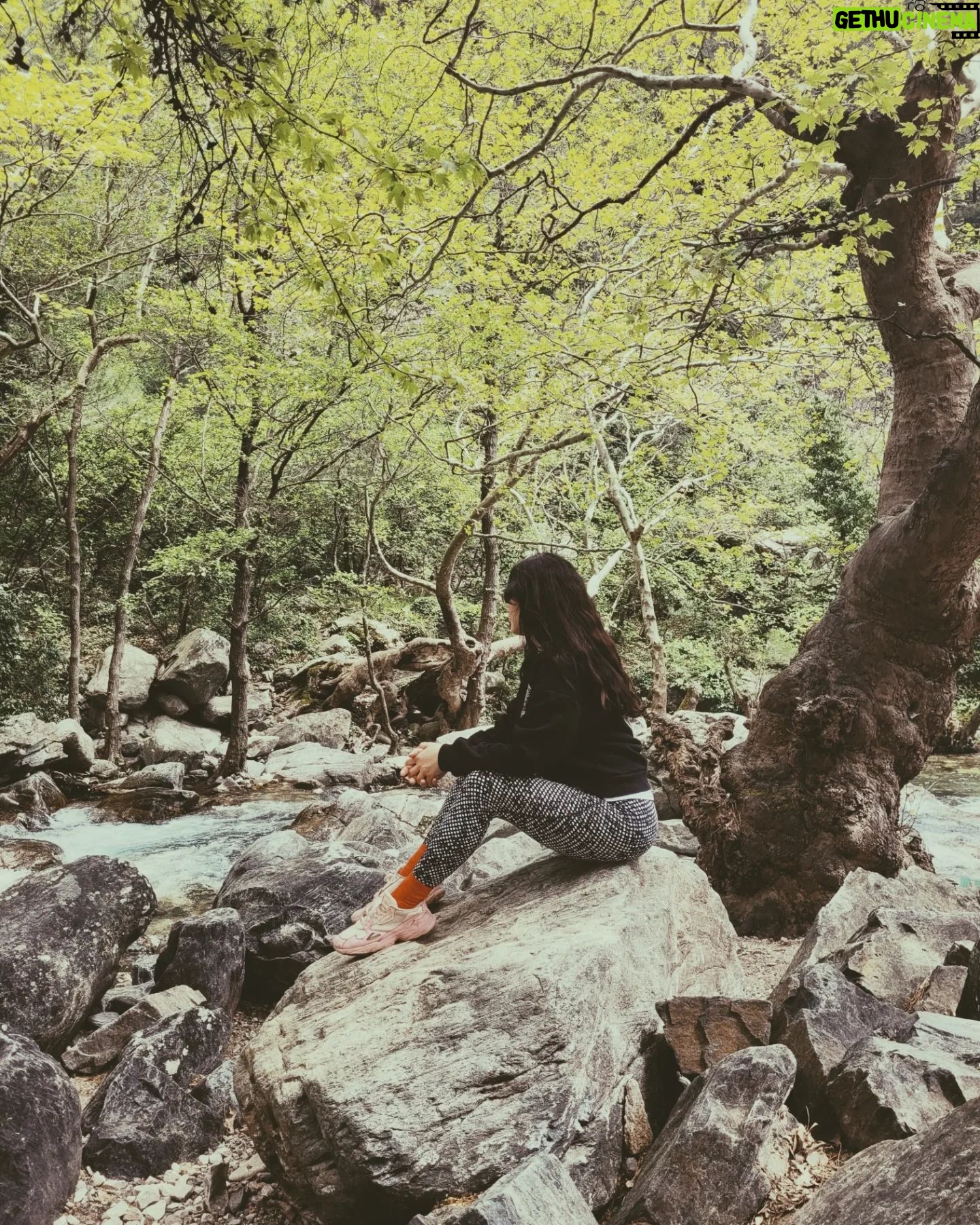 Ezgi Tombul - 513 Likes - 🏕️🌻🐛🌹