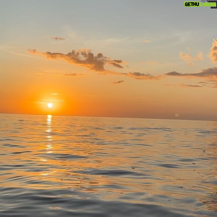 Ezinne Okparaebo - 1.1K Likes - 🌅