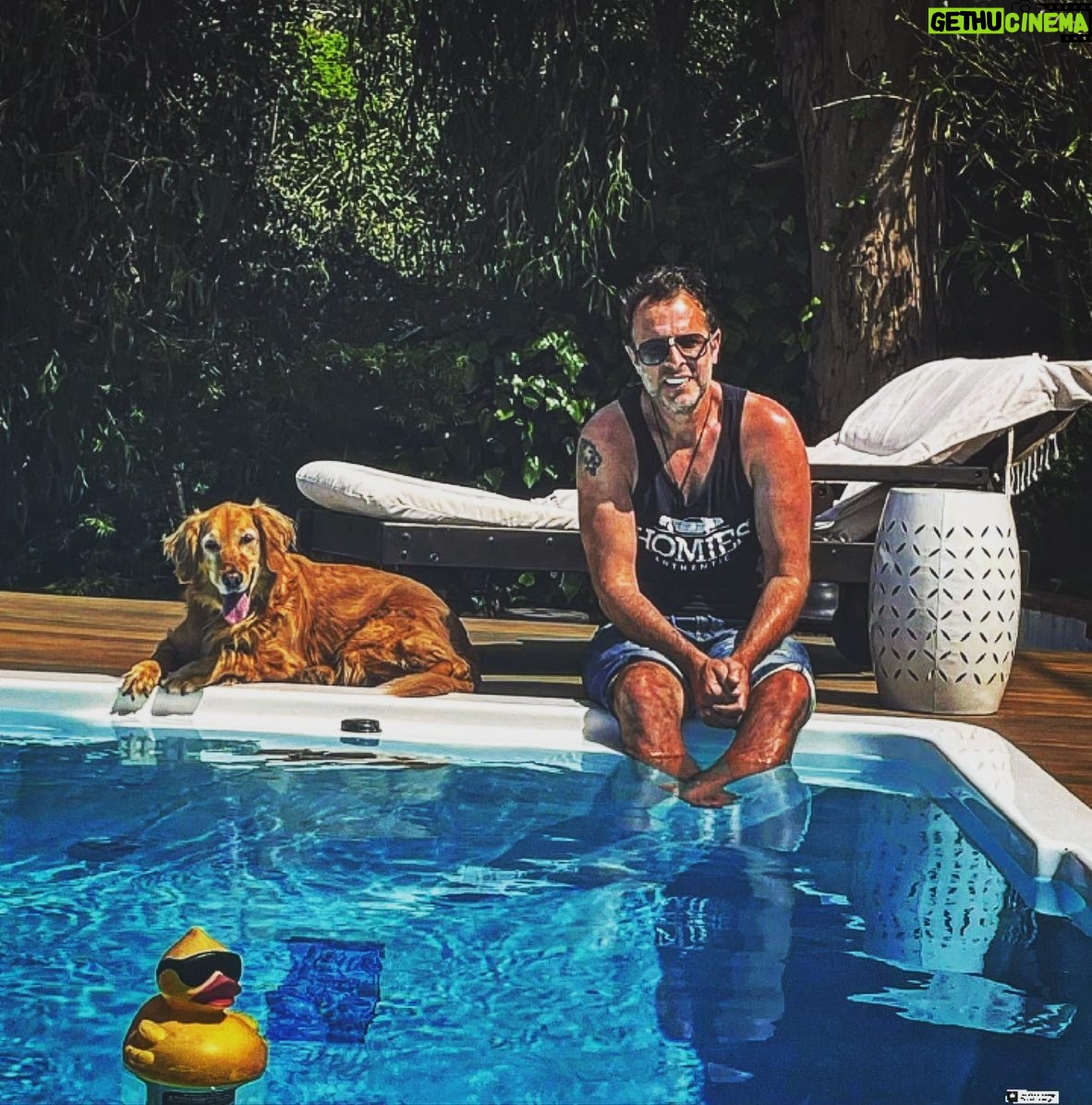 Fabrice Sopoglian - 3 Likes - She is solid! 🐶