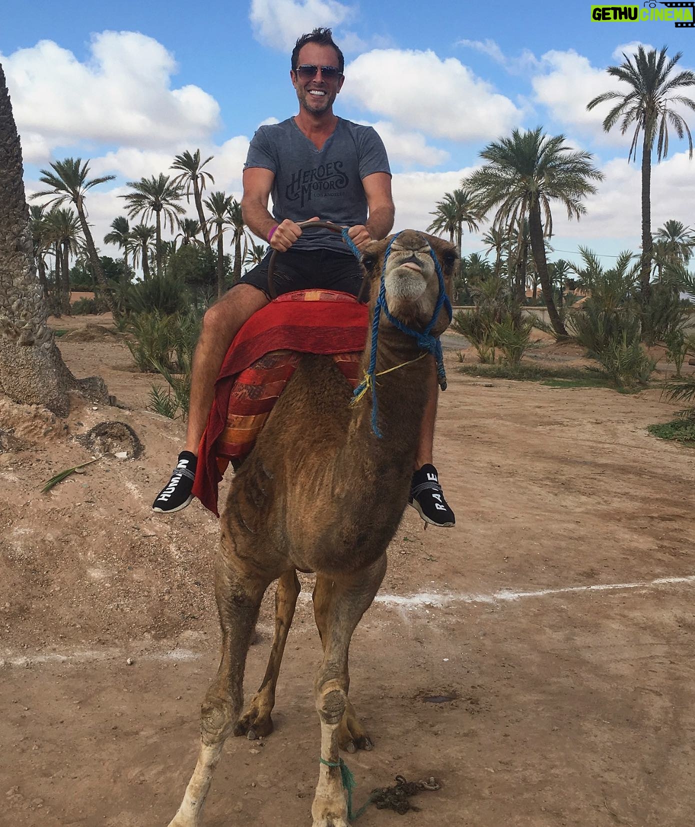Fabrice Sopoglian - 734 Likes - J’ai l’air a l’aise?? 😝 🇲🇦 Her name is Kiki!