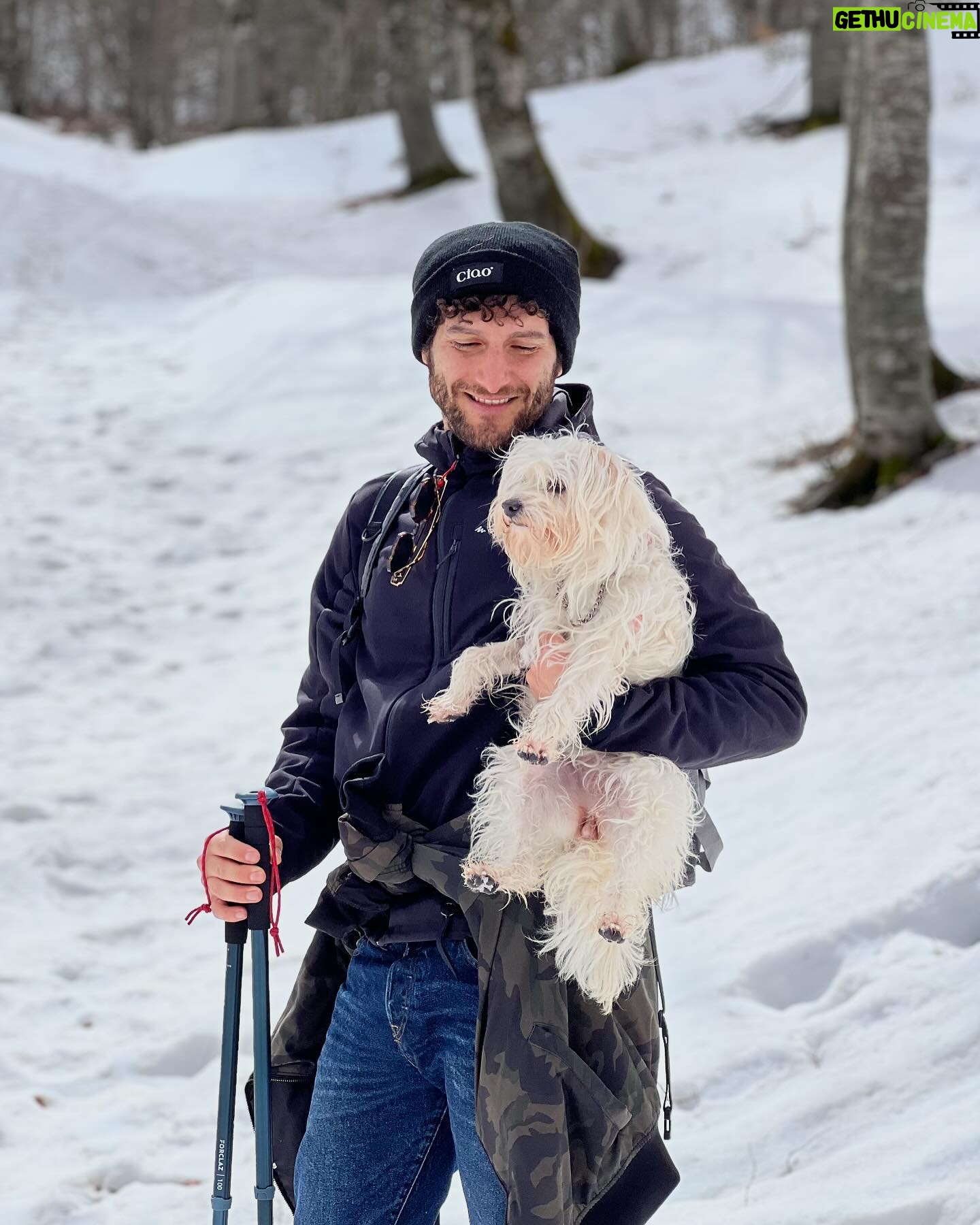 Fabrizio Colica - 3.6K Likes - “Eh ma con il cane non puoi più fare niente”
