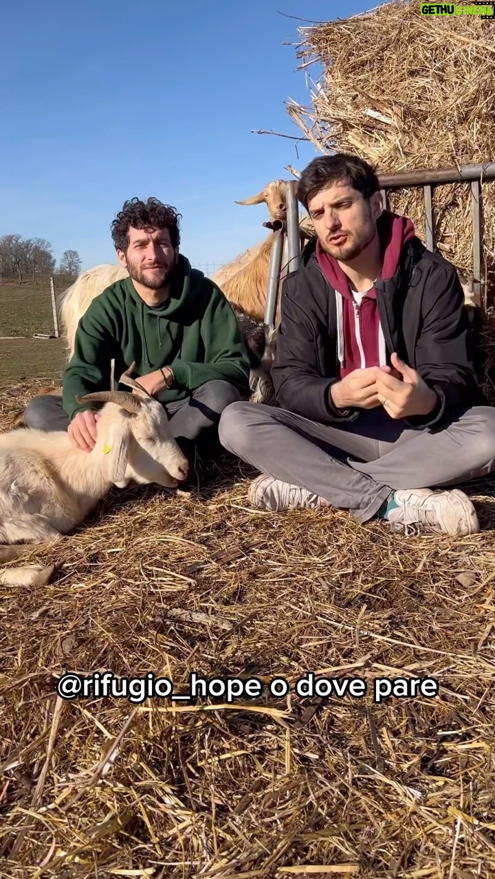 Fabrizio Colica - 9.7K Likes - Sosteniamo il progetto @rifugio_hope per continuare ad accogliere i nostri amici