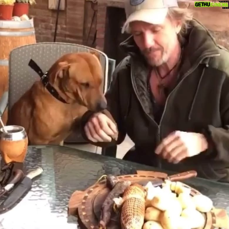 Facundo Arana - 10.3K Likes - Jaja Buen día..! 🌈🐕🫶🏽