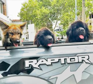 Facundo Arana Instagram - #MDQ .. The Gang. 🐕🐕‍🦺🐕‍🦺 💋😉🌈🌈🌈 Felices Pascuas, Compas..!!