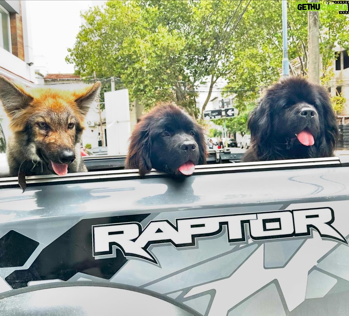 Facundo Arana - 3.8K Likes - #MDQ .. The Gang. 🐕🐕🦺🐕🦺 💋😉🌈🌈🌈 Felices Pascuas, Compas..!!