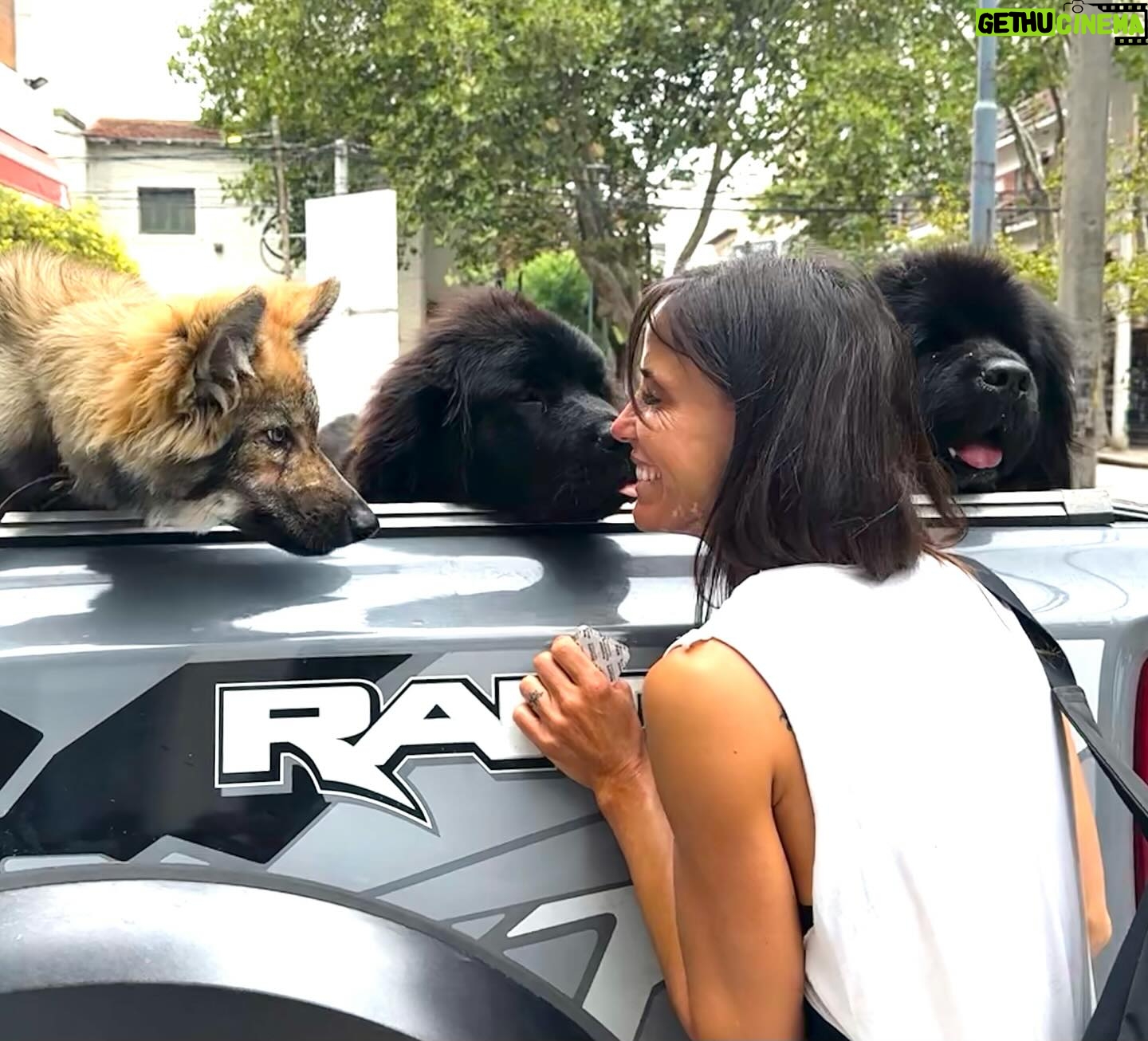 Facundo Arana - 3.8K Likes - #MDQ .. The Gang. 🐕🐕🦺🐕🦺 💋😉🌈🌈🌈 Felices Pascuas, Compas..!!