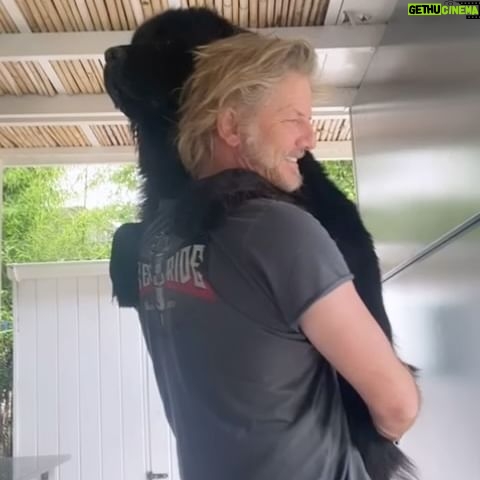 Facundo Arana - 24.4K Likes - #Upa #TBT #WTF .. Ella, que piensa que es un maltés..! Kambá Chihuahua.!!
#Terranova #Poodle #BulldogFrancés #Chihuahua #PerrosPequeños #Autopercepción #WTF #WTF! #WTF?! #WTF???!!!!