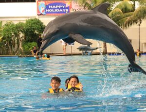 Farid Kamil Instagram - Unforgettable experience with Simba the dolphin at the @balimarinepark with my little family 🥲 The kids were so happy!!! 

Don’t miss this spot when you’re down in Bali - up close and personal with these sweet & intelligent creatures. 

Thank you for the memorable moments @balimarinepark, and #romantikaastro & @cogearproductions for setting up a special slot for us to enjoy Bali like we’ve never done before ❤️🤝