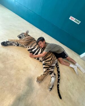 Farid Kamil Instagram - Melawat Harimau di Tiger Sanctuary , Pattaya. Muhammad ada perlawanan bola di sini dan kebetulan bermain untuk team Tiger U12 (Malaysia).