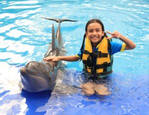 Farid Kamil Instagram - Unforgettable experience with Simba the dolphin at the @balimarinepark with my little family 🥲 The kids were so happy!!! 

Don’t miss this spot when you’re down in Bali - up close and personal with these sweet & intelligent creatures. 

Thank you for the memorable moments @balimarinepark, and #romantikaastro & @cogearproductions for setting up a special slot for us to enjoy Bali like we’ve never done before ❤️🤝
